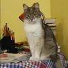 Отзыв от Ирина Барсукова